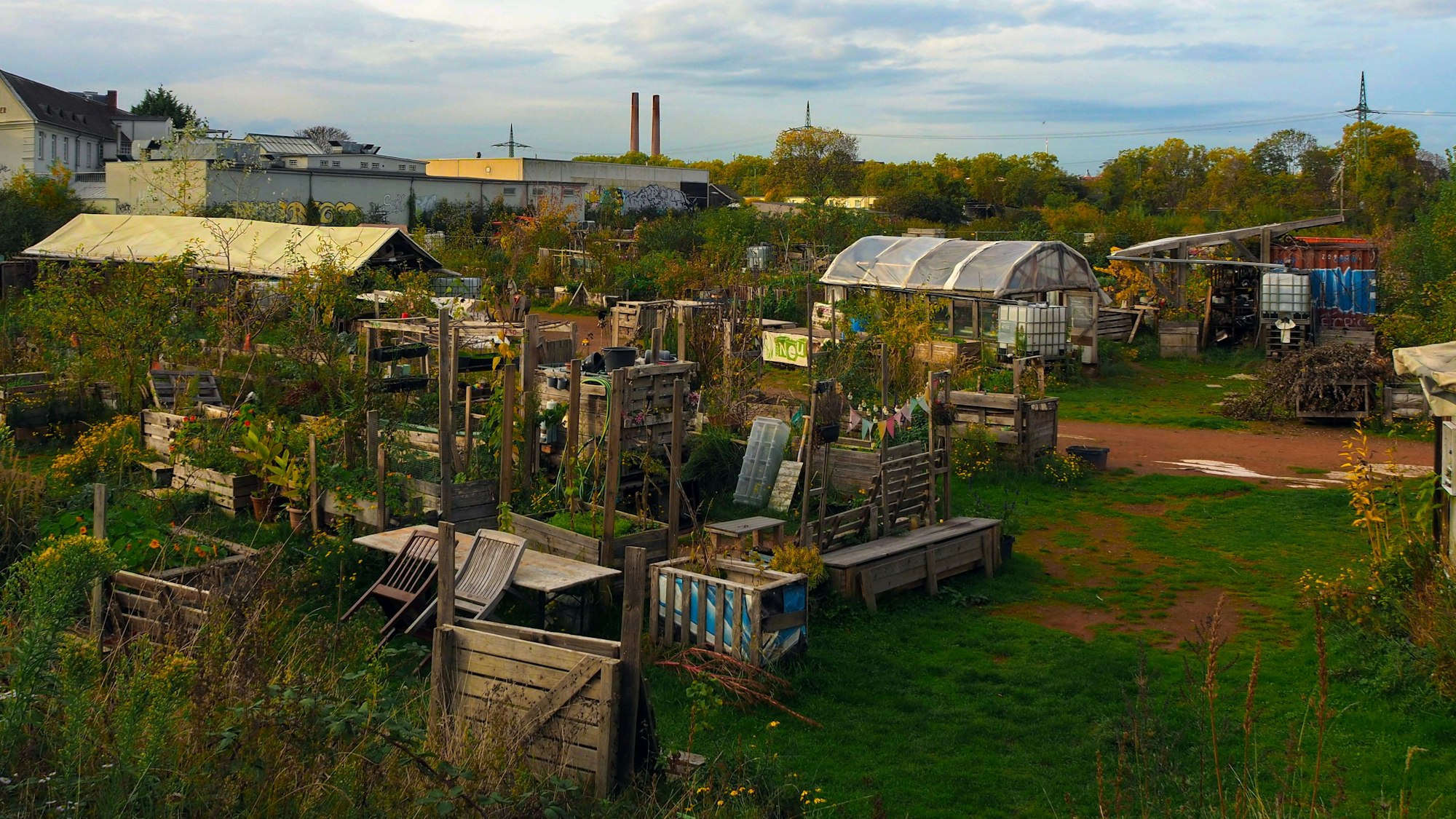 Die Anbaufläche des Neuland-Projekts in Köln-Bayenthal.