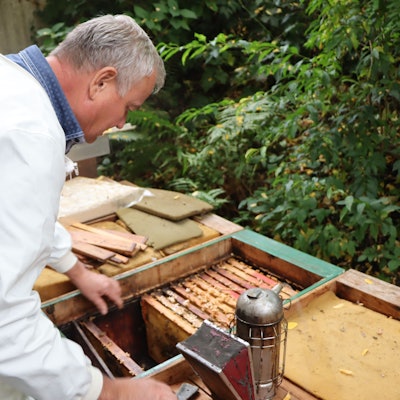 Der Imker Gero Meyer beugt sich über seine Bienenkästen, die in Brühl-Vochem stehen.