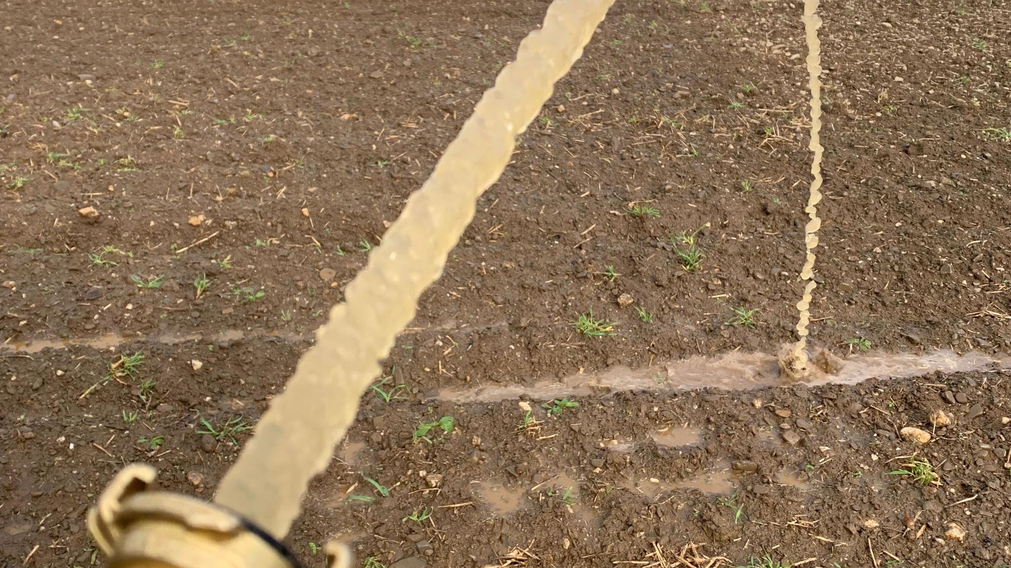 Aus einem Schlauch fließt Grundwasser auf den Butterberg in Sankt Augustin.