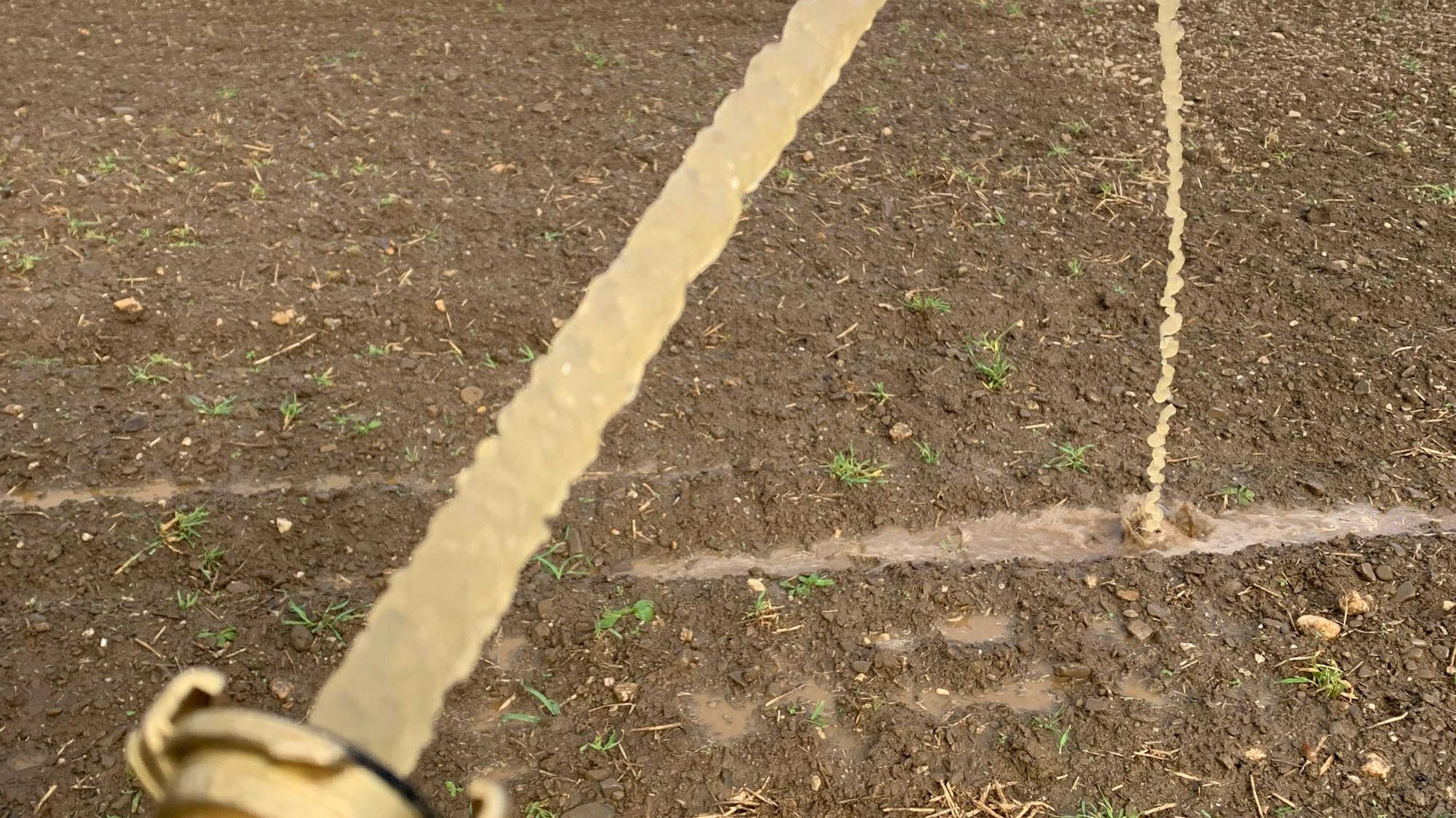 Aus einem Schlauch fließt Grundwasser auf den Butterberg in Sankt Augustin.