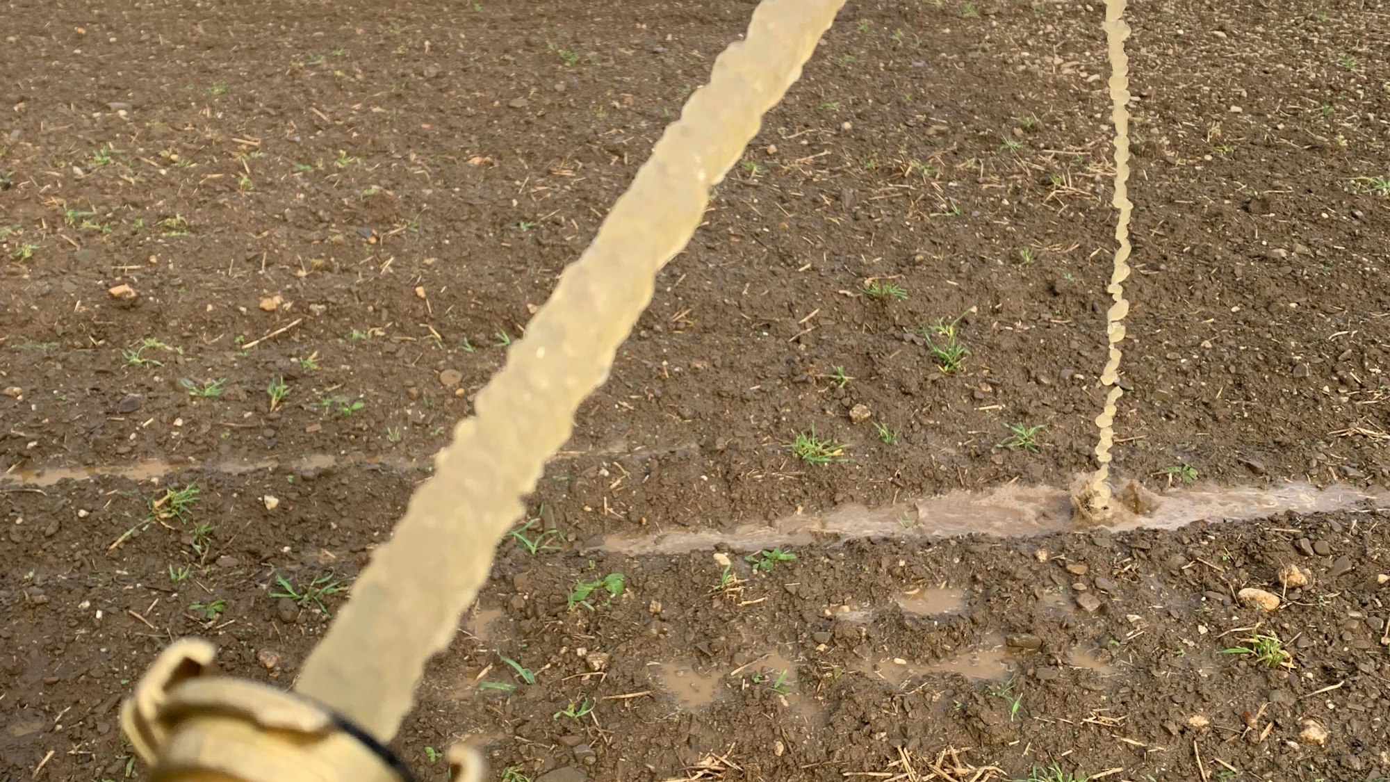 Aus einem Schlauch fließt Grundwasser auf den Butterberg in Sankt Augustin.