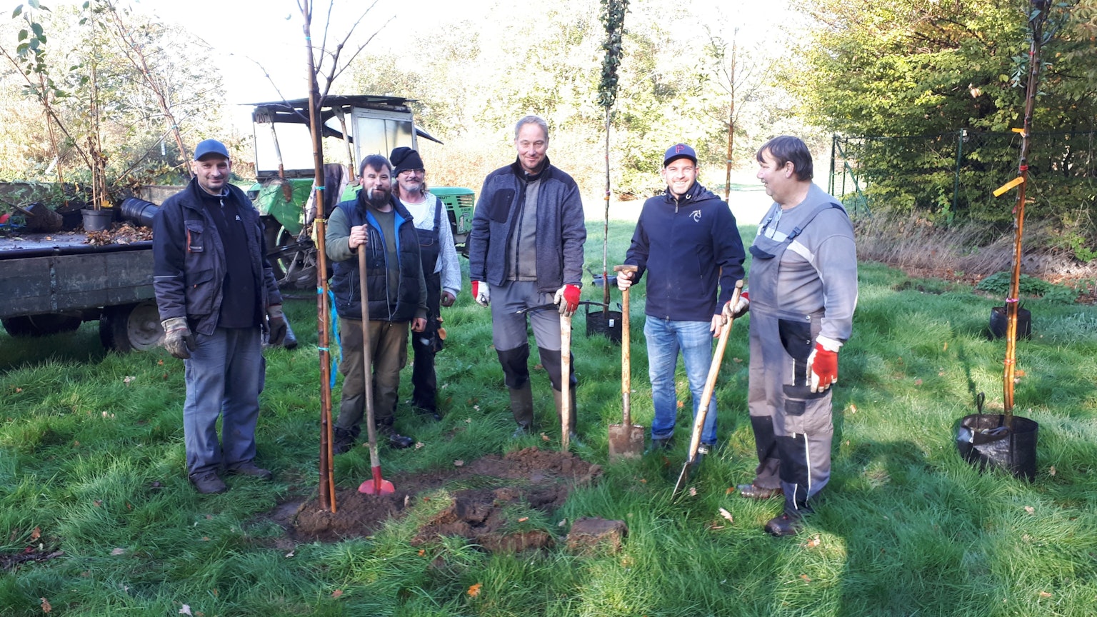Sechs Männer stehen auf einer Wiese mit Schüppen in der Hand und setzen Bäume auf einen Grünstreifen nahe der Niehler Straße auf.