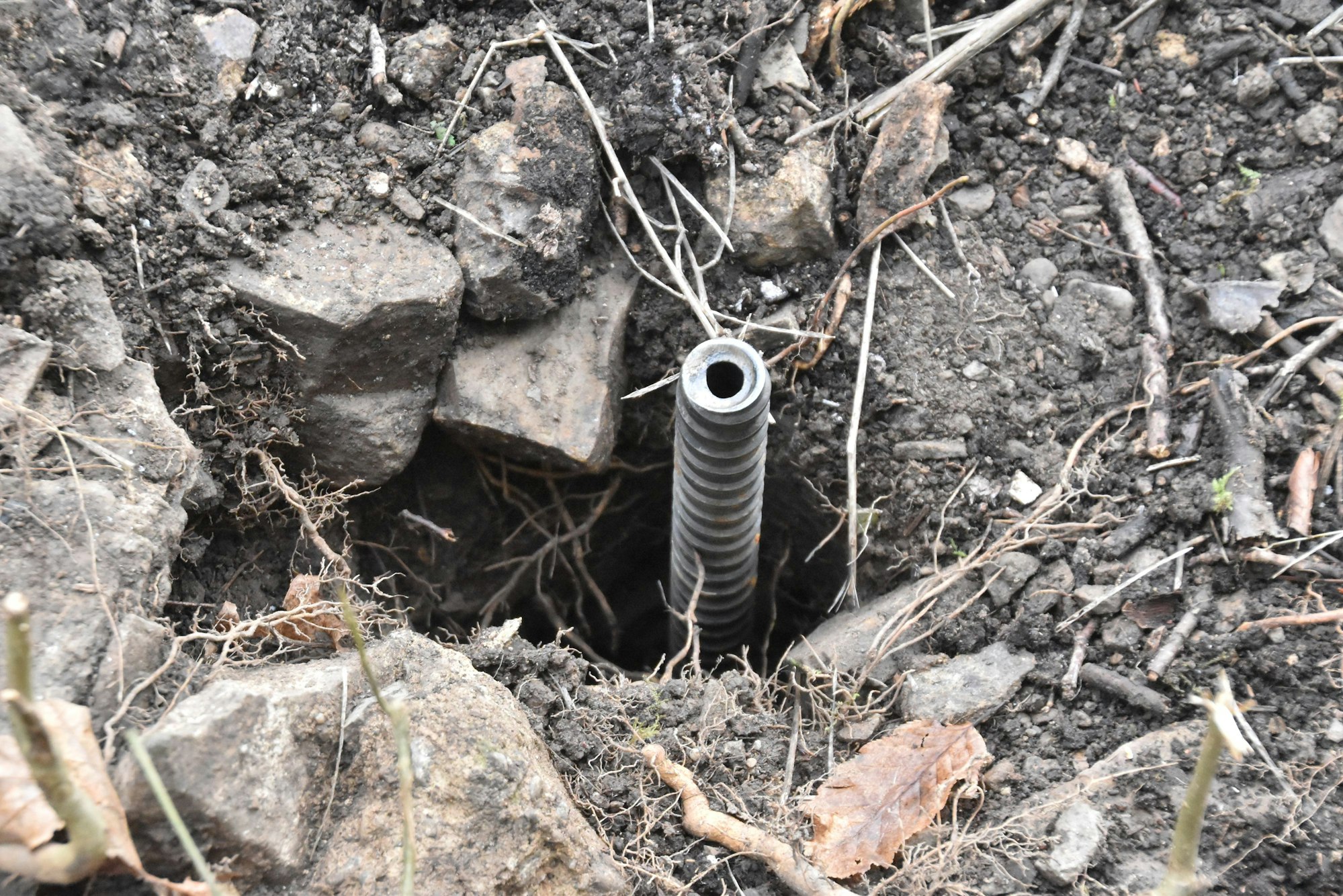 Hangsicherung am Burgberg der Ruine in Windeck