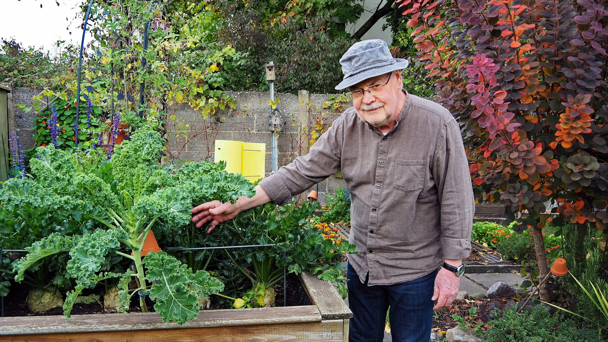 Kleingärtner Klaus Waskow in seinem Kleingarten in Köln-Raderthal