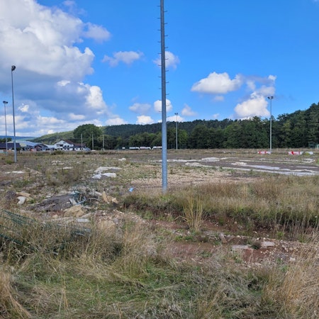 Ein alter Sportplatz ist komplett zugewachsen.