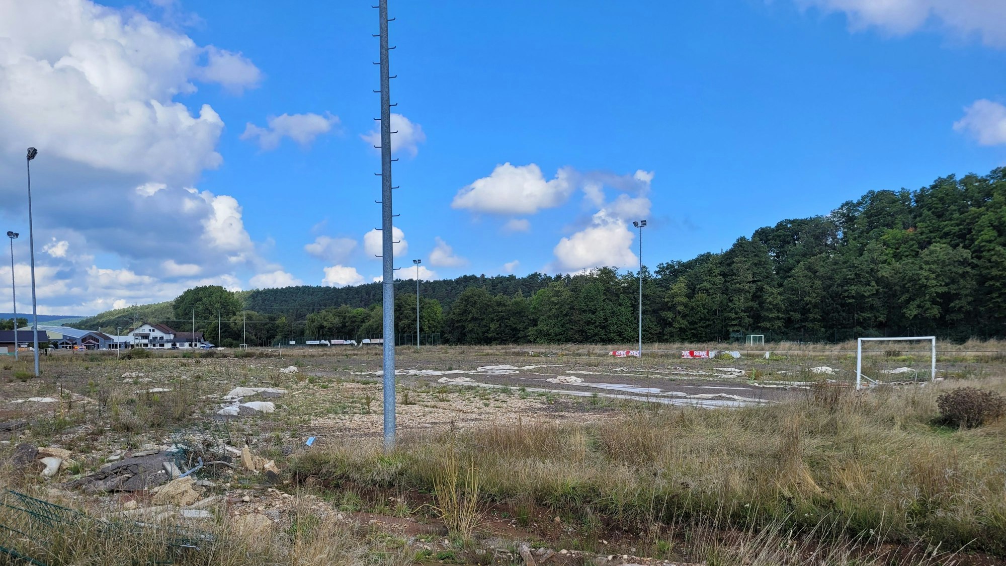 Ein alter Sportplatz ist komplett zugewachsen.