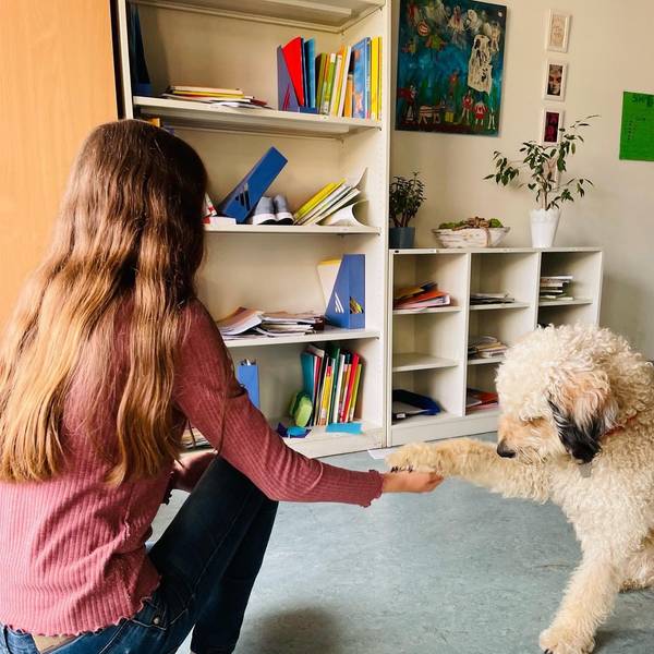 Ein Hund mit hellem gelocktem Fell gibt einem Mädchen die Pfote.