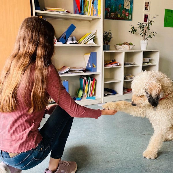 Ein Hund mit hellem gelocktem Fell gibt einem Mädchen die Pfote.
