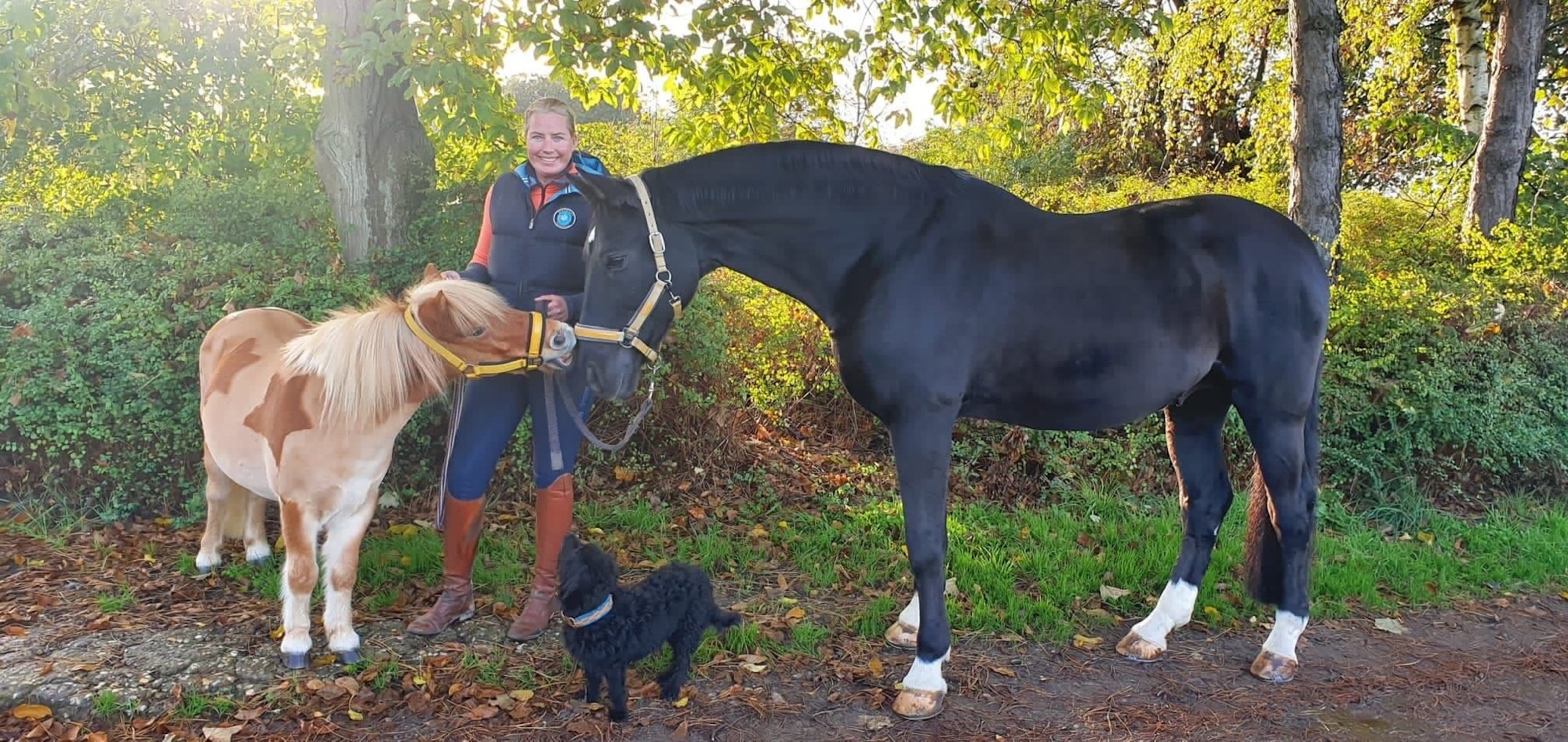 Die Pferdewirtschaftsmeisterin Inken Schillings steht mit einem Hund, einem Pony und einem Pferd im Wald.