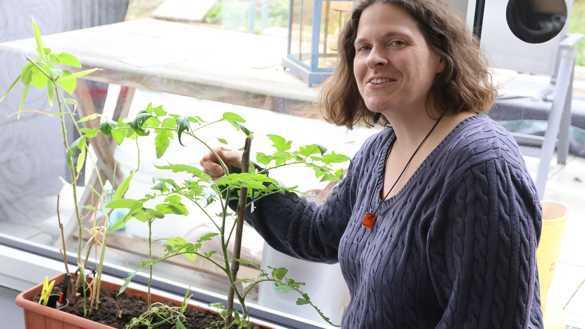 Claudia Benner steht vor ihrer selbst aufgezogenen Tomatenpflanze.
