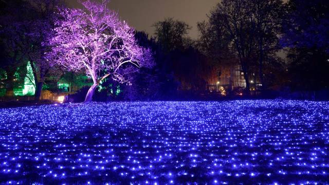 Die Weihnachtslichtershow Christmas Garden entführt den Besucher auf einem Rundweg durch den Kölner Zoo mit zahlreichen glitzernden Illuminationen in eine magische Weihnachtswelt - dazu zählt auch das Lichtermeer aus 18 000 blauen Leuchtdioden auf der zentralen Zoowiese.
