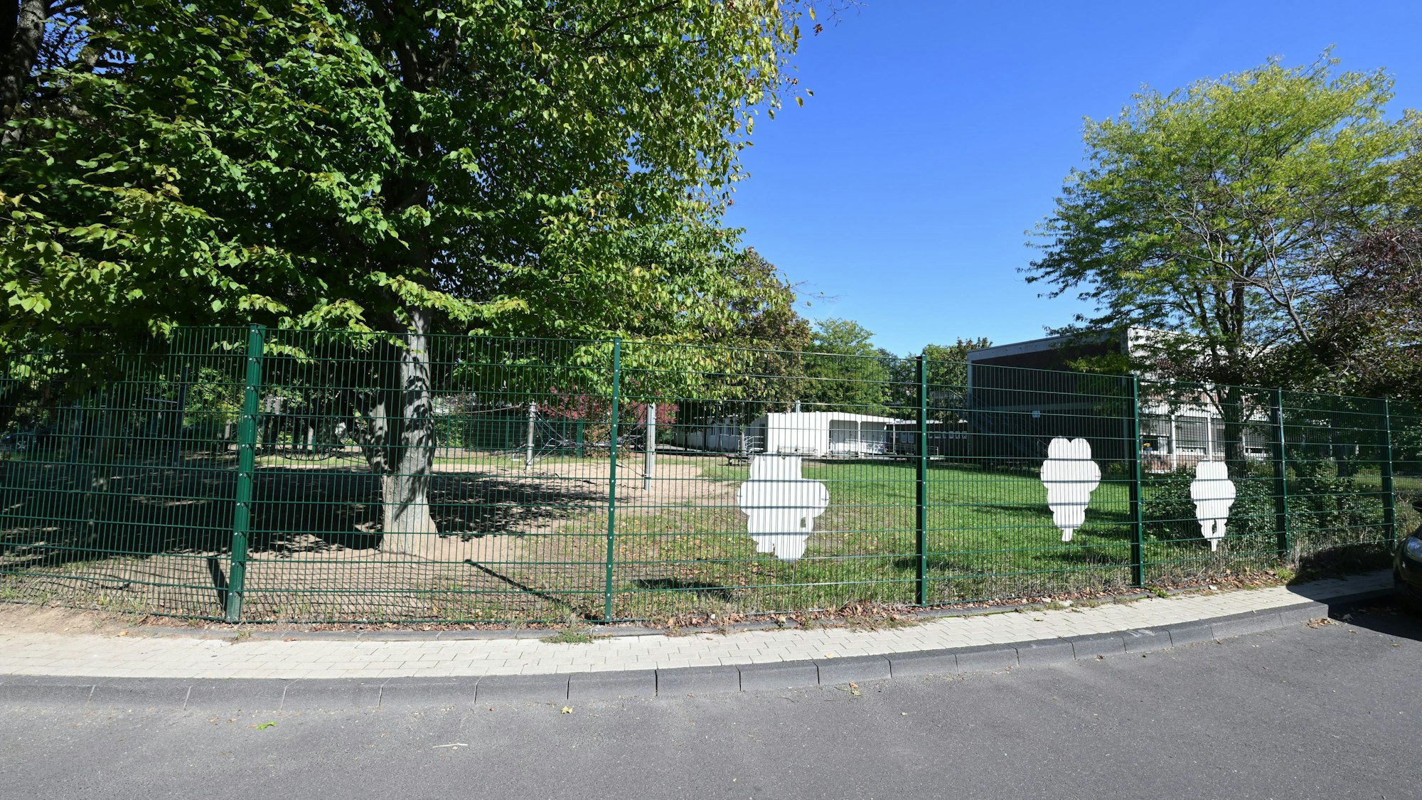 Das Gelände, auf dem der Modulbau errichtet werden soll. Derzeit ist dort eine unbebaute Wiese mit Bäumen.