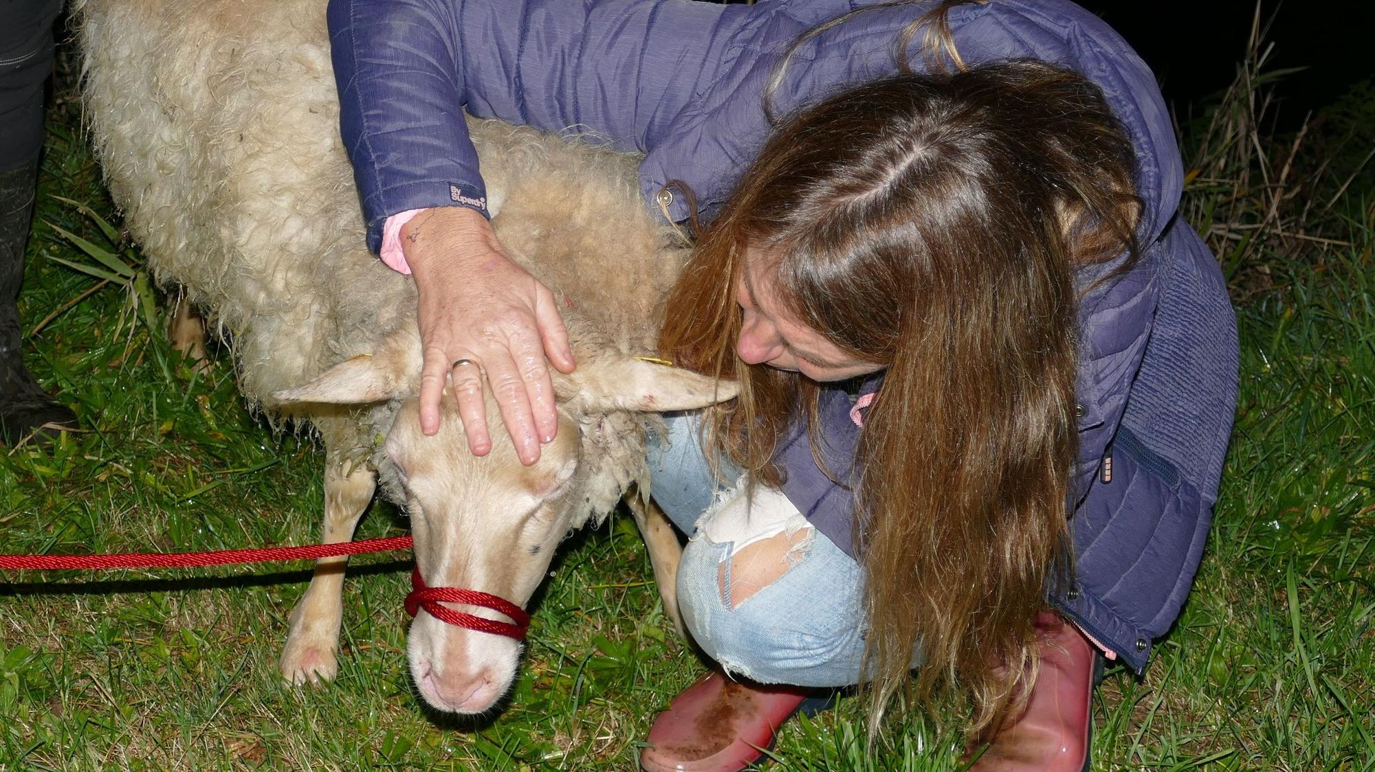 Die Besitzerin kniet neben dem Schaf auf einer Wiese.