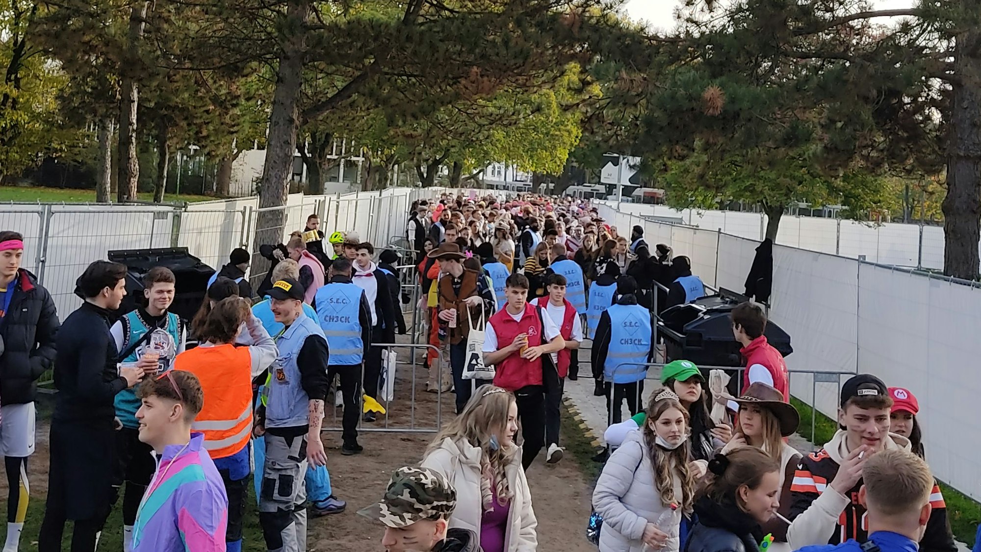 Eine Menschenmenge mit Verkleidung.