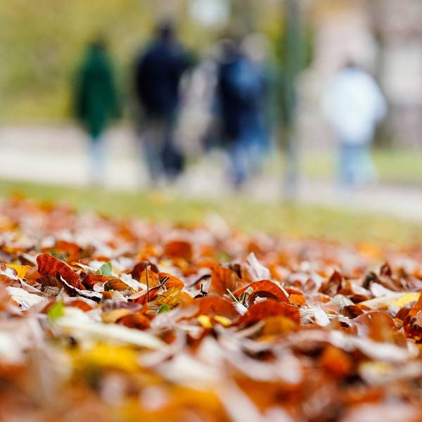 06.11.2022, Baden-Württemberg, Heidelberg: Besucher gehen im Schlossgarten des Heidelberger Schlosses hinter Herbstlaub spazieren.