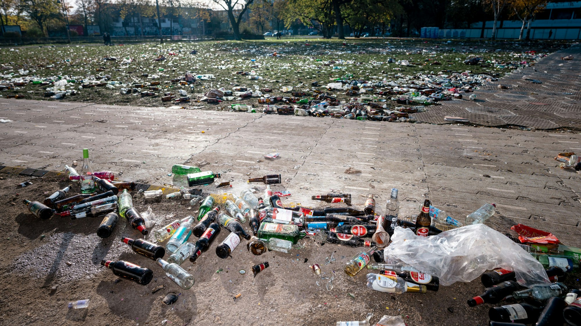 Unzählige Flaschen und Abfall liegen am Tag nach dem Elften Elften auf der Kölner Uniwiese.
