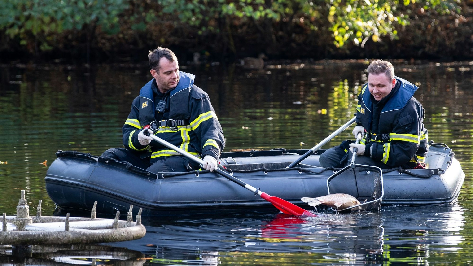 Zwei Feuerwehrmänner sitzen in einem Schlauchboot und ziehen mit einem Kescher einen toten Fisch aus dem Wasser.