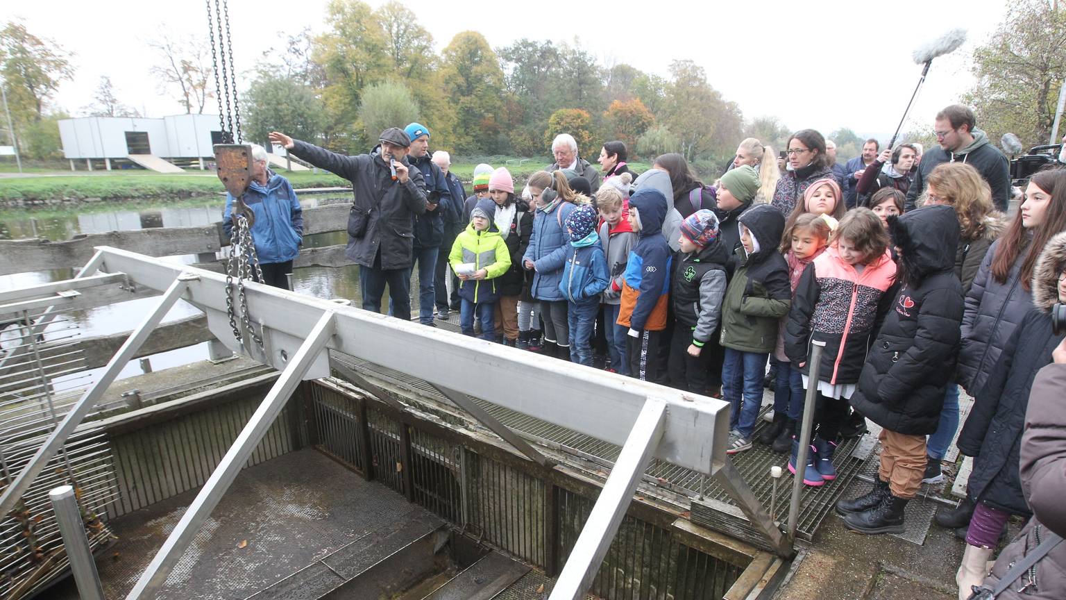 Schüler und NRW-Landwirtschaftsministerin Silke Görißen stehen am Siegwehr in Sankt Augustin-Buisdorf.