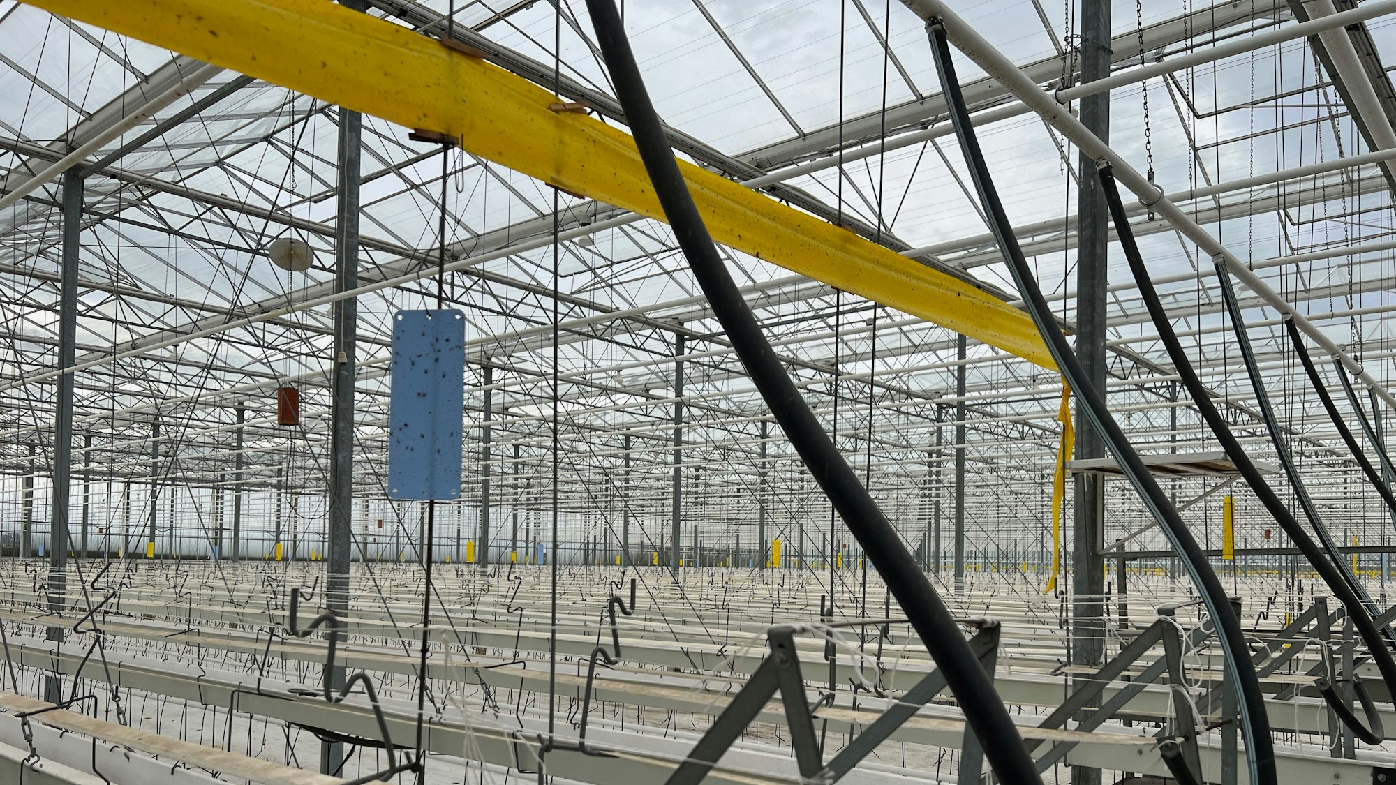 Ein großes, leeres Gewächshaus.