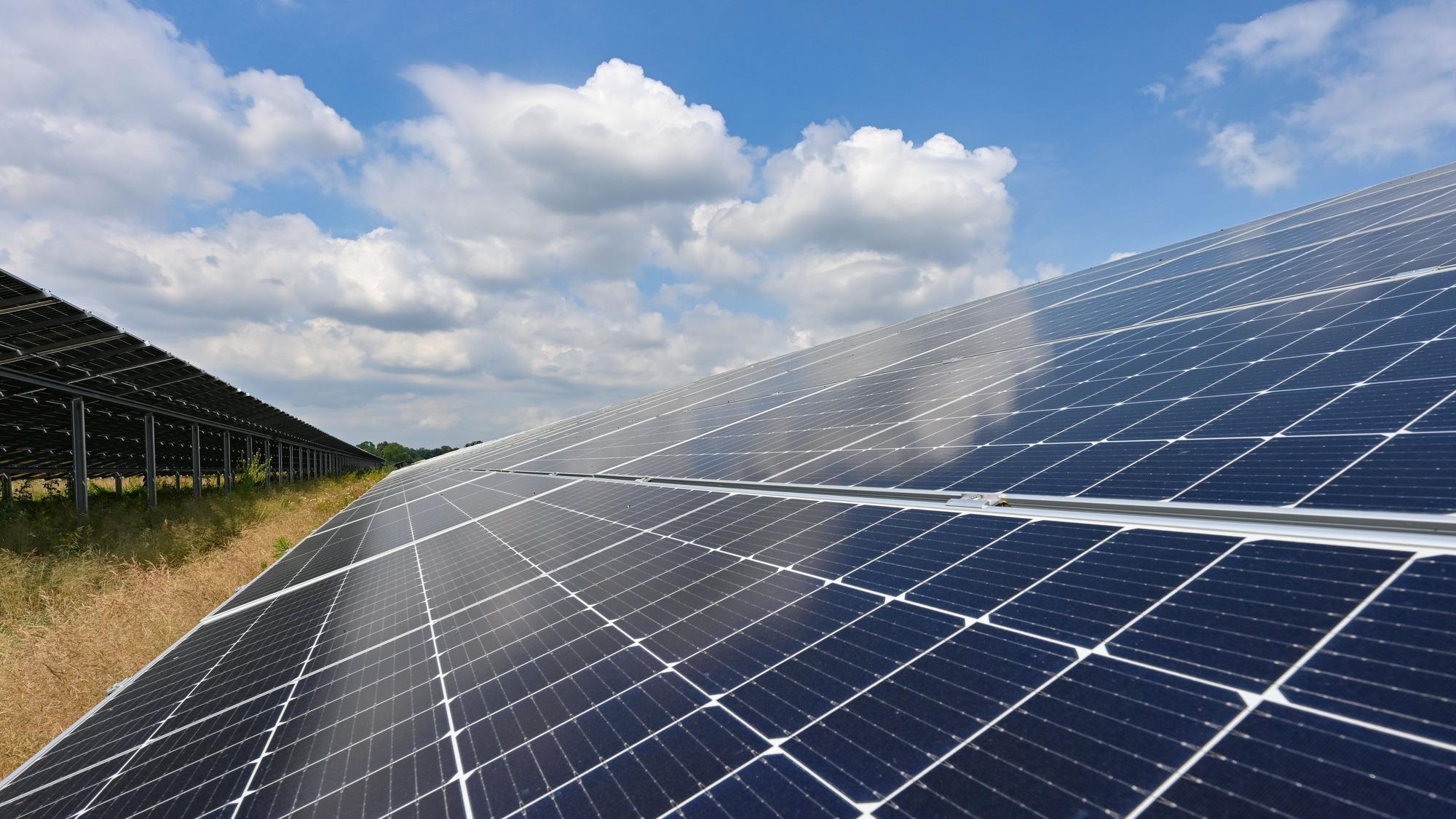 Das Symbolbild zeigt die Module eines Solarparks im Oderbruch.