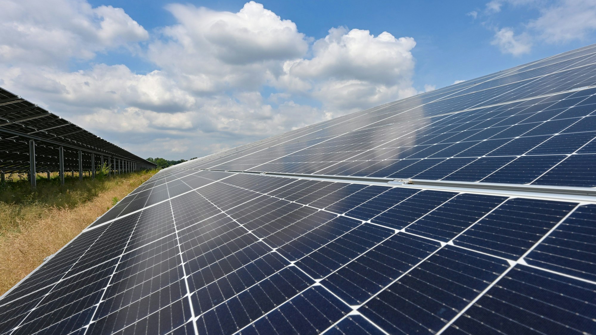 Solarpaneele auf einer Wiese unter blauem Himmel.