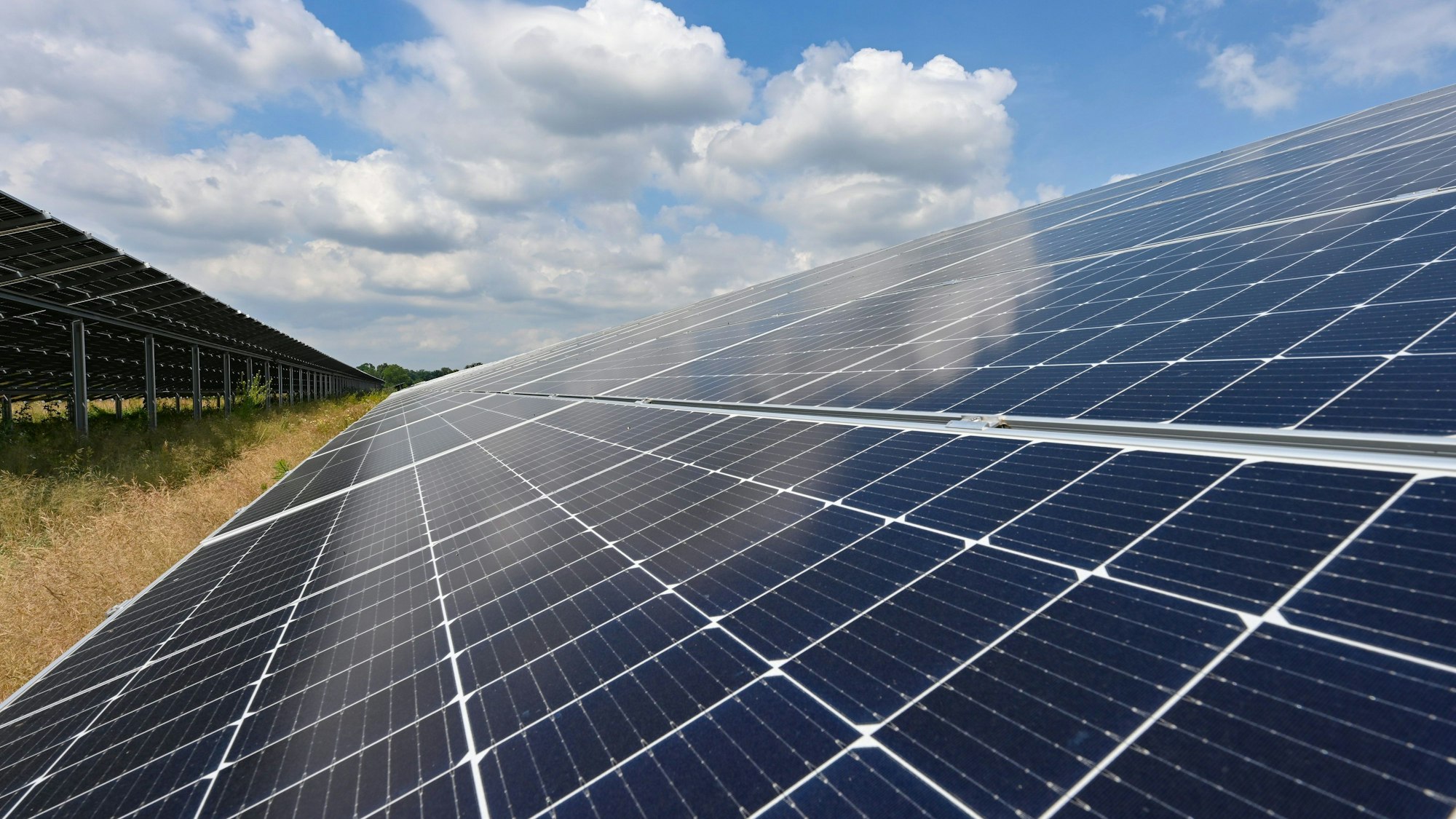 Das Foto ist eine Nahaufnahm aus einem Solarpark.