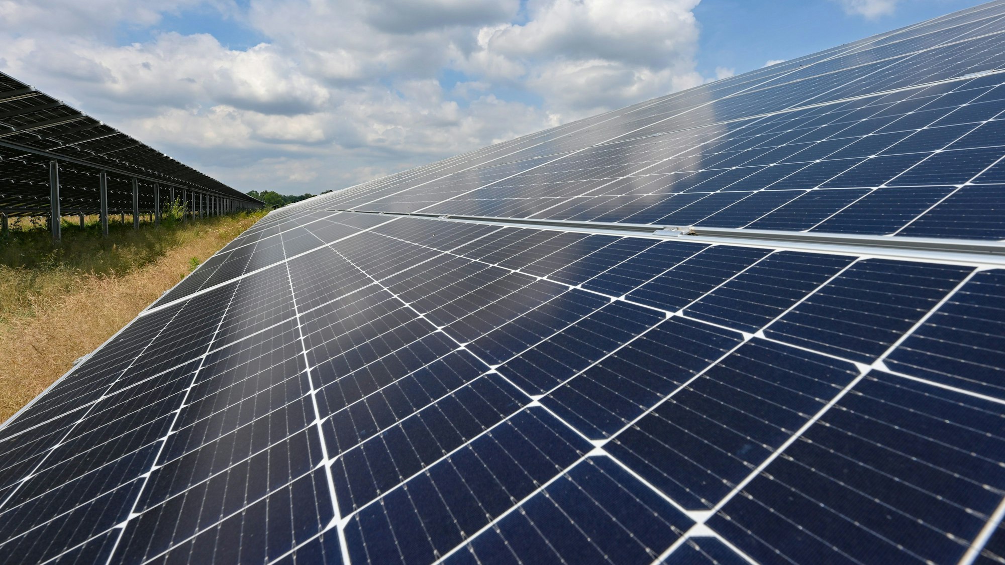 Ein Solarpark steht auf eine Wiese.