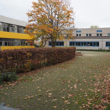 Man sieht einen leeren Schulhof mit einem Baum und Hecke, im Hintergrund das Schulgebäude.