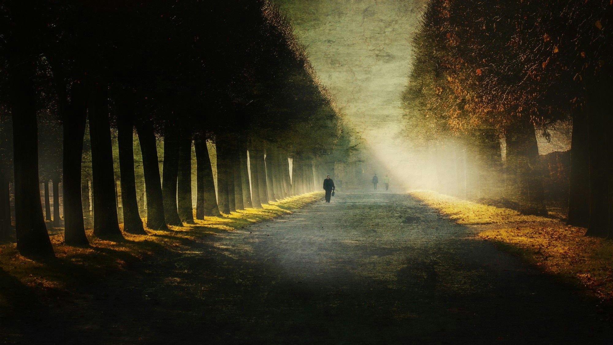 Ein Mensch läuft durch eine Allee im Brühler Schlosspark.