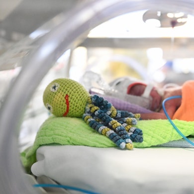 Ein Frühchen liegt in einem Brutkasten, angeschlossen an Schläuche. Im Vordergrund liegt ein Kuscheltier.