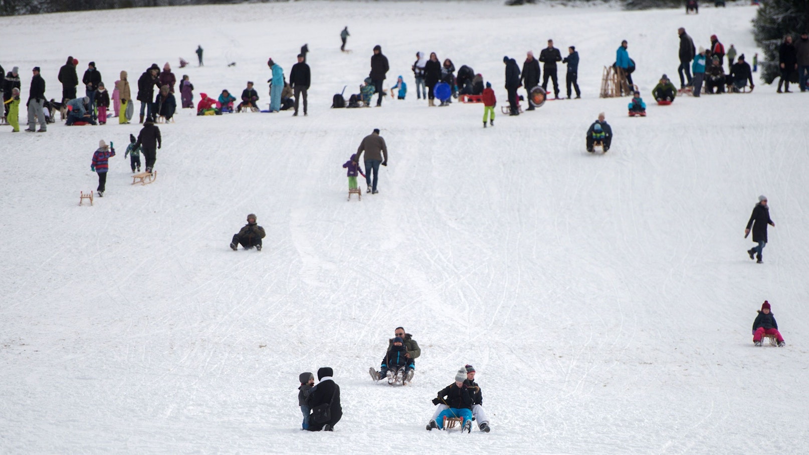 Menschen rodeln einen Hang des Michelsbergs hinunter