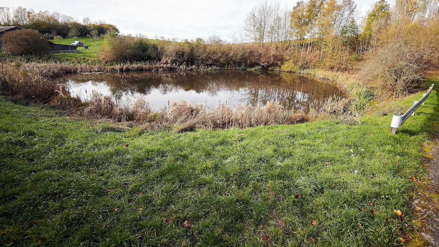 Das Regenrückhaltebecken an der Autobahn 1 bei Nettersheim-Engelgau ist verschlammt und sosoll saniert werden.