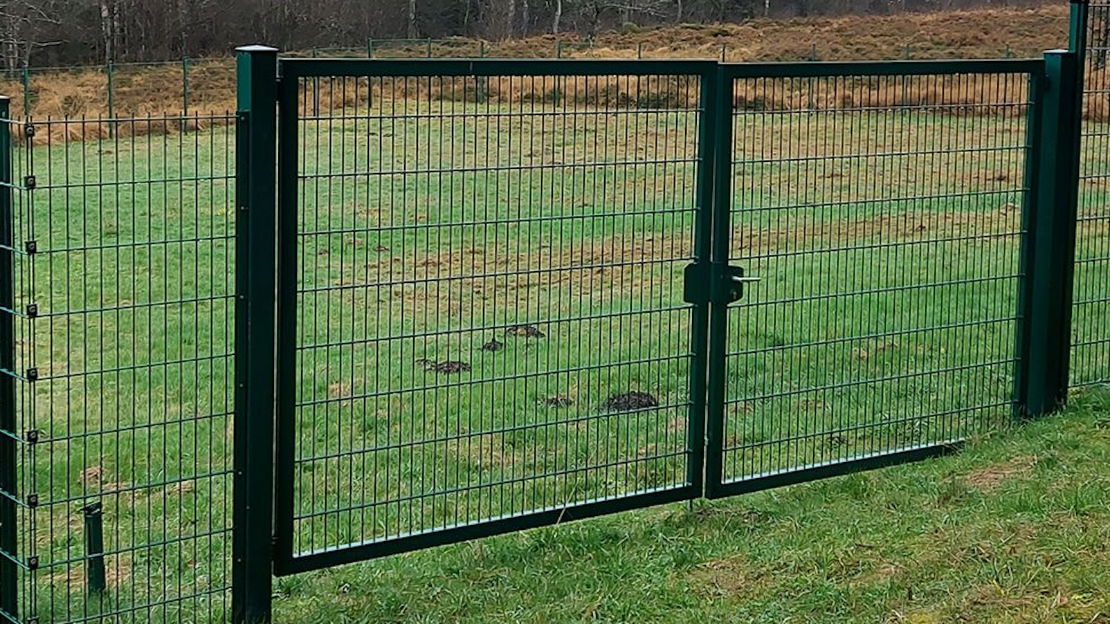Mit einem Zaun ist die Trinkwasserquelle oberhalb von Dahlem vor ungebetenen Gästen geschützt.