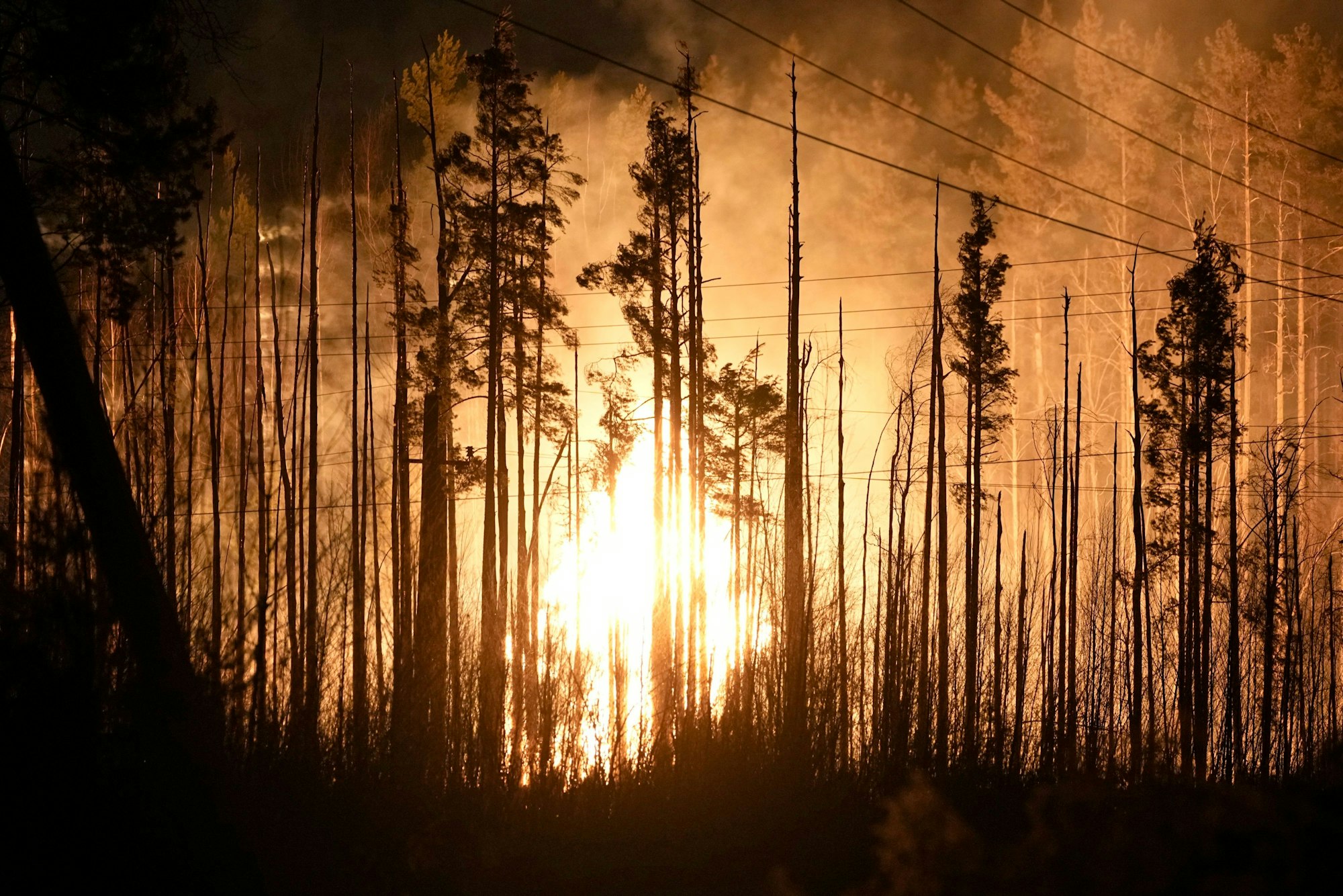 Flammen steigen am Ort einer Gasleitungsexplosion auf. Im Norden von St. Petersburg hat die Explosion einer Gaspipeline ein Großfeuer ausgelöst. Über mögliche Opfer sowie die Ursache der Explosion gibt es noch keine Angaben.