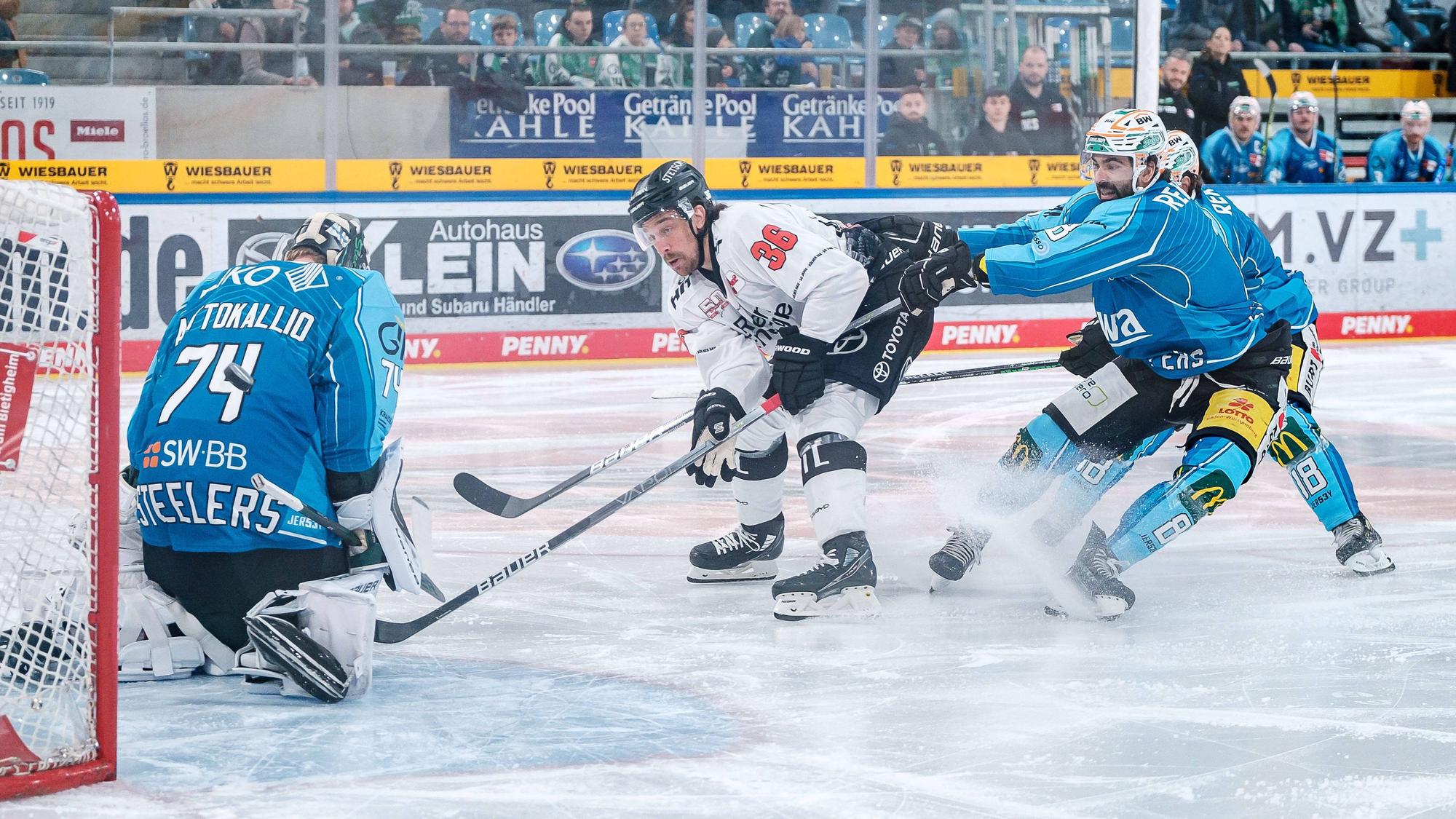 Andreas Thuresson könnte am Freitag gegen Straubing sein Comeback im Haie-Trikot nach längerer Verletzungspause geben.