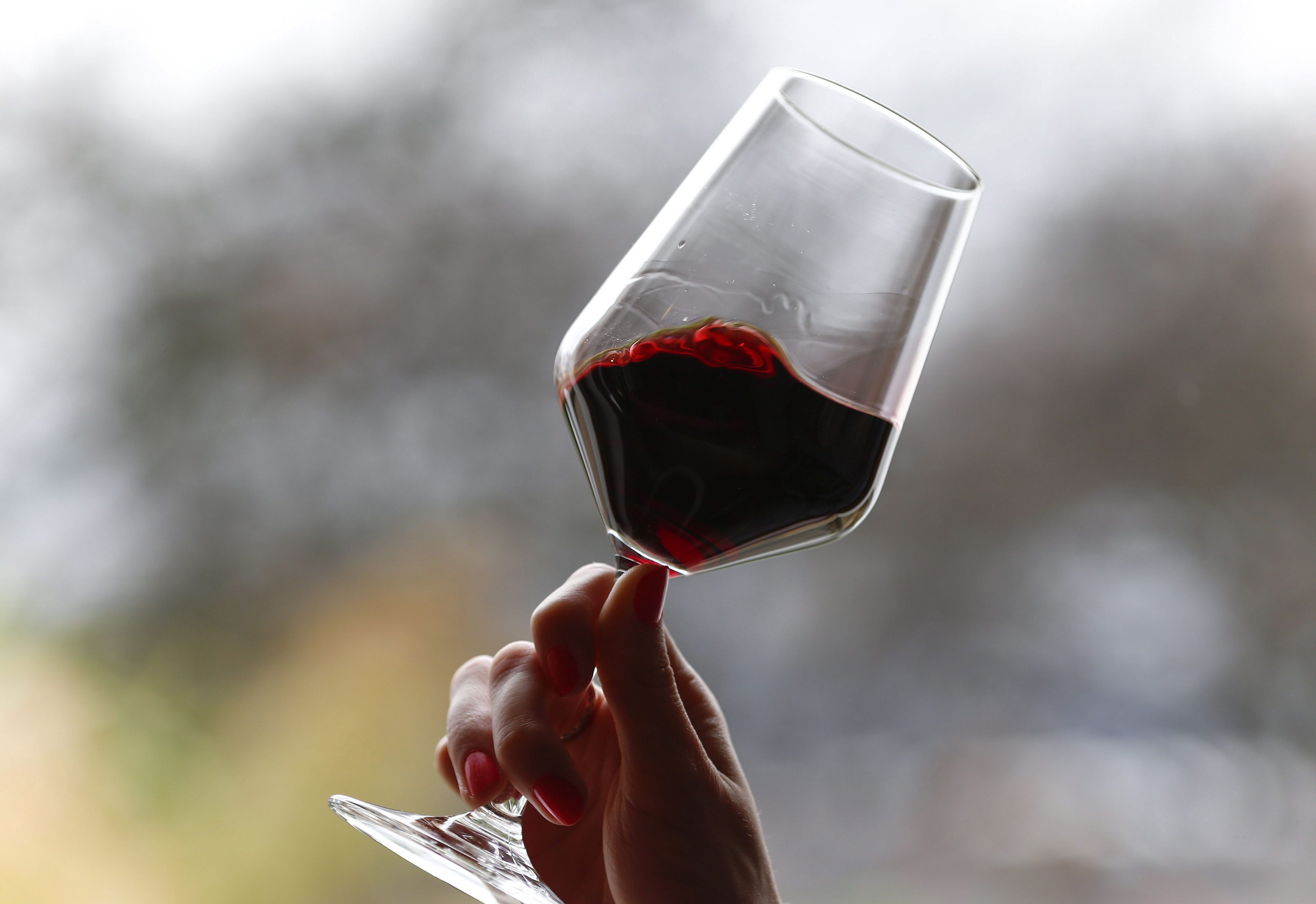 Eine weibliche Hand hält ein Glas gefüllt mit Rotwein in die Luft.