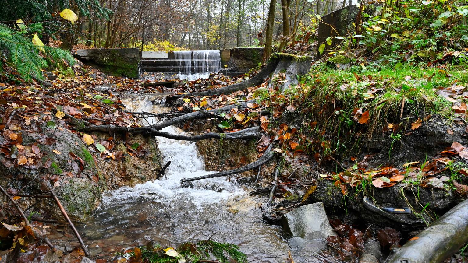 Ein Bach fliest bergabwärts durch eine herbstliche Umgebung.