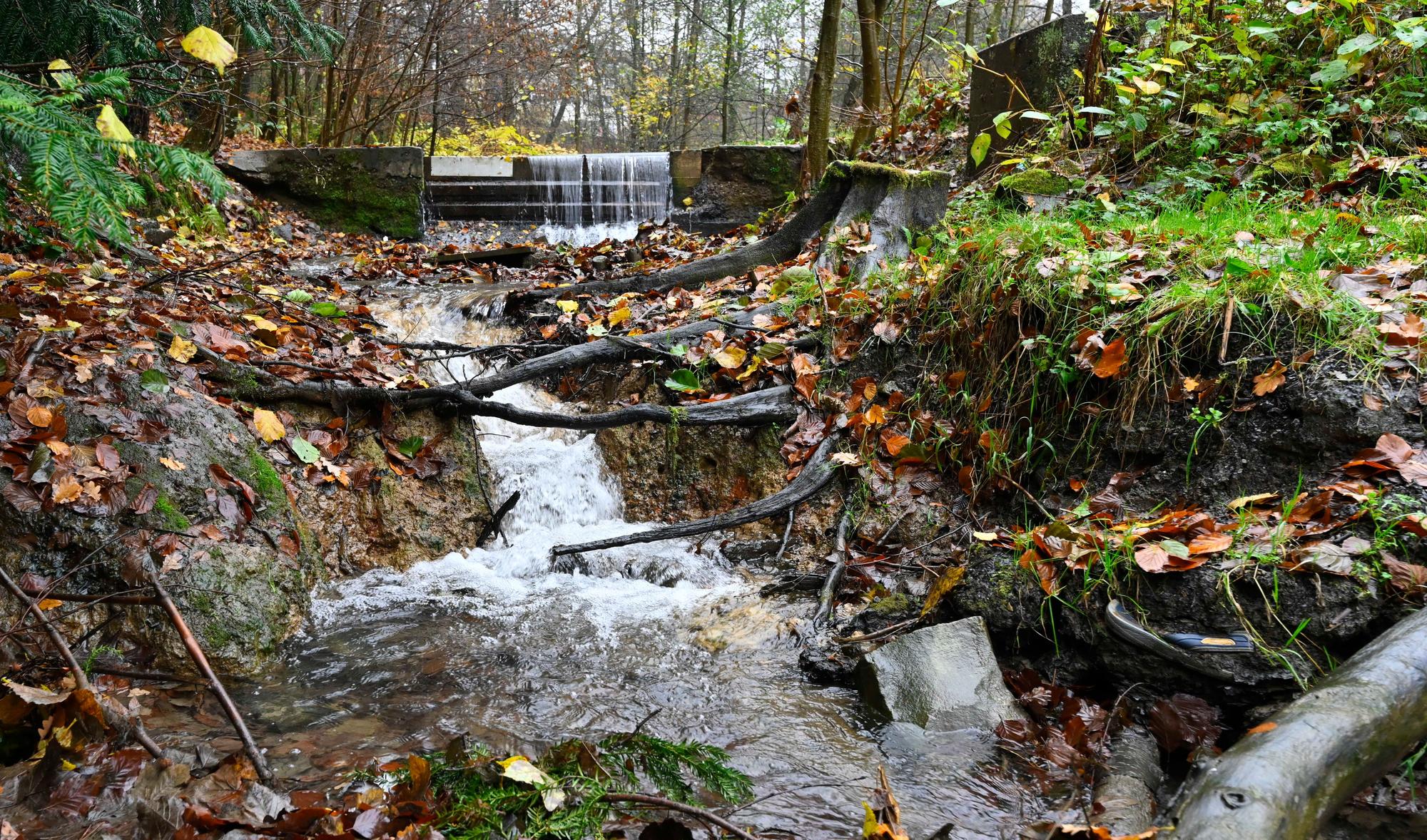 Ein Bach fliest bergabwärts durch eine herbstliche Umgebung.