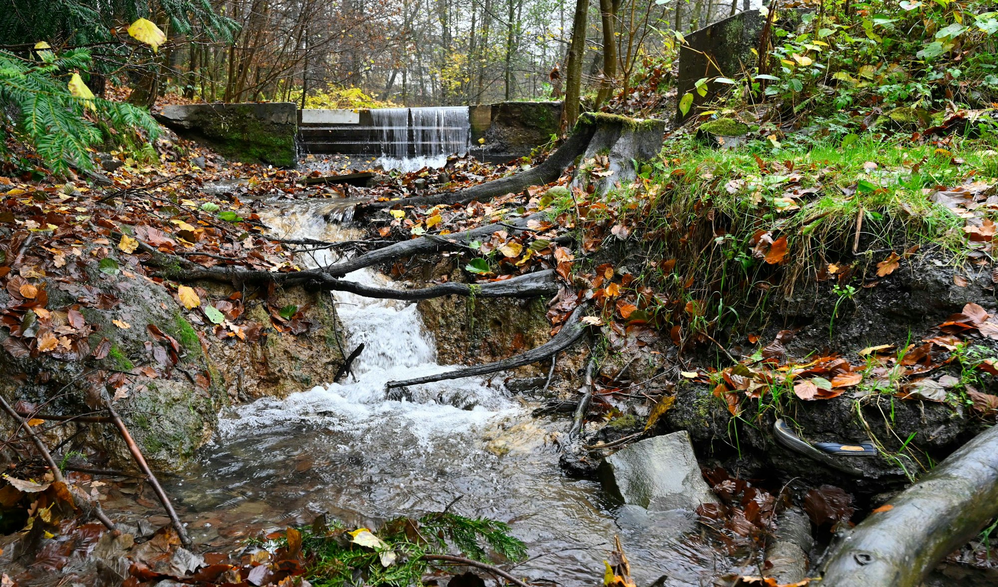 Ein Bach fliest bergabwärts durch eine herbstliche Umgebung.