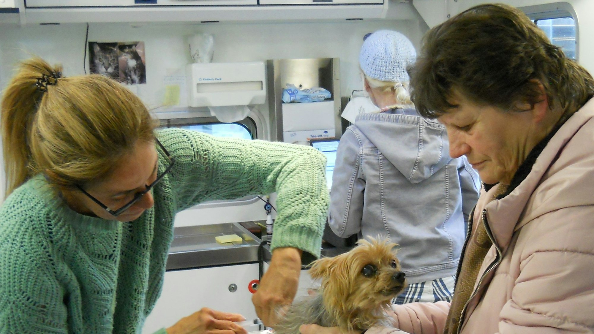 Eine Frau in einem grünen Pulli gibt einem Hund eine Spritze, der von einer Frau festgehalten wird.