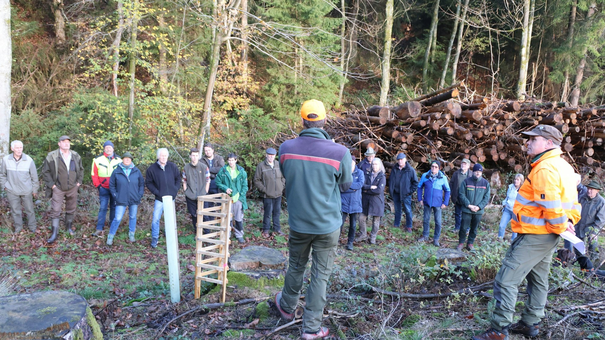 Zwei Männer stehen mit dem Rücken zur Kamera, einer trägt eine orangene Arbeitsjacke. Vor ihnen stehen über ein dutzend Männer und Frauen. Im Hintergrund liegen gefällte Bäume vor einem Wald.