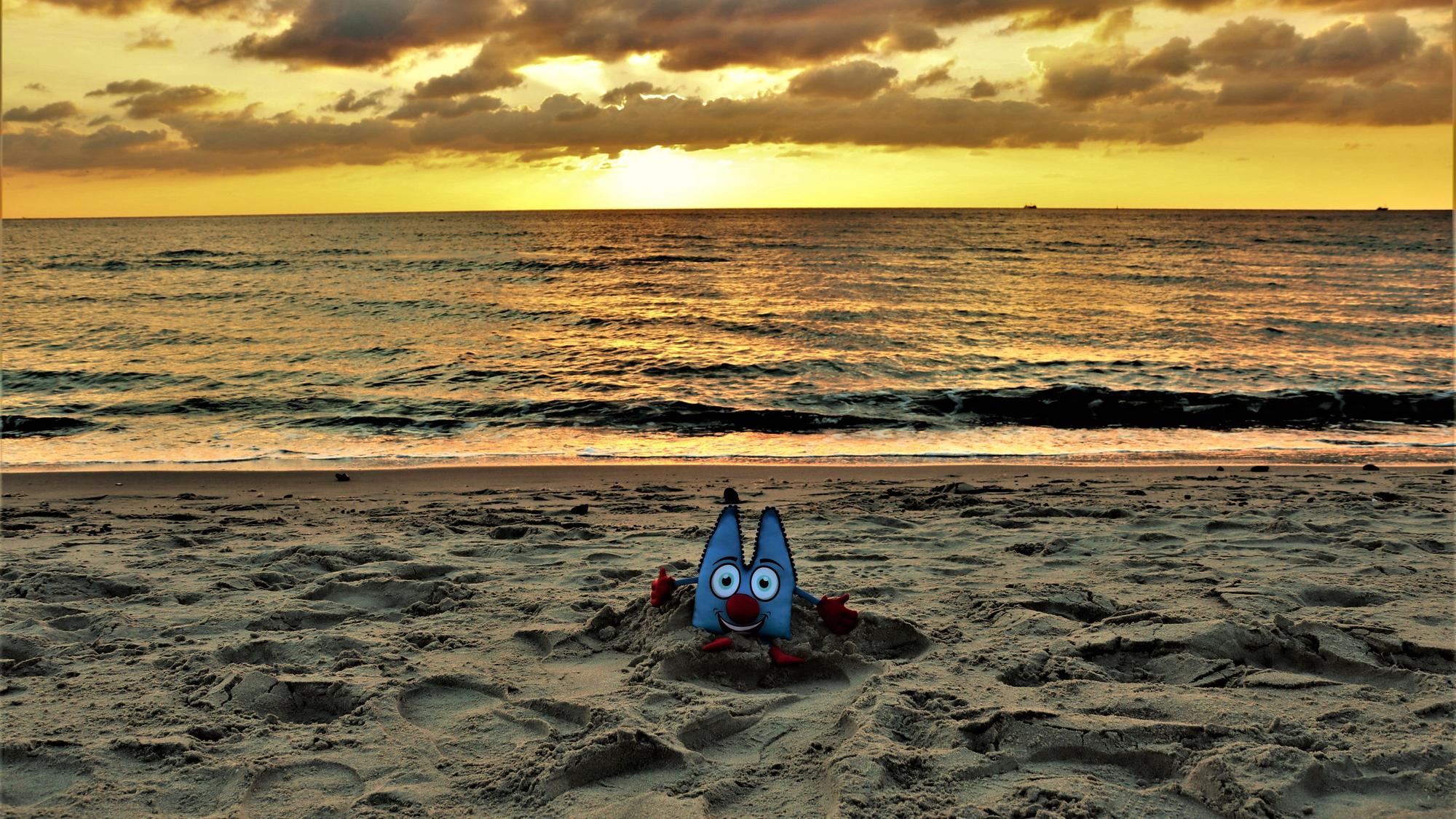Ein Sonnenuntergang am Strand, in diesem wurde ein Dom-Plüschtier positioniert.