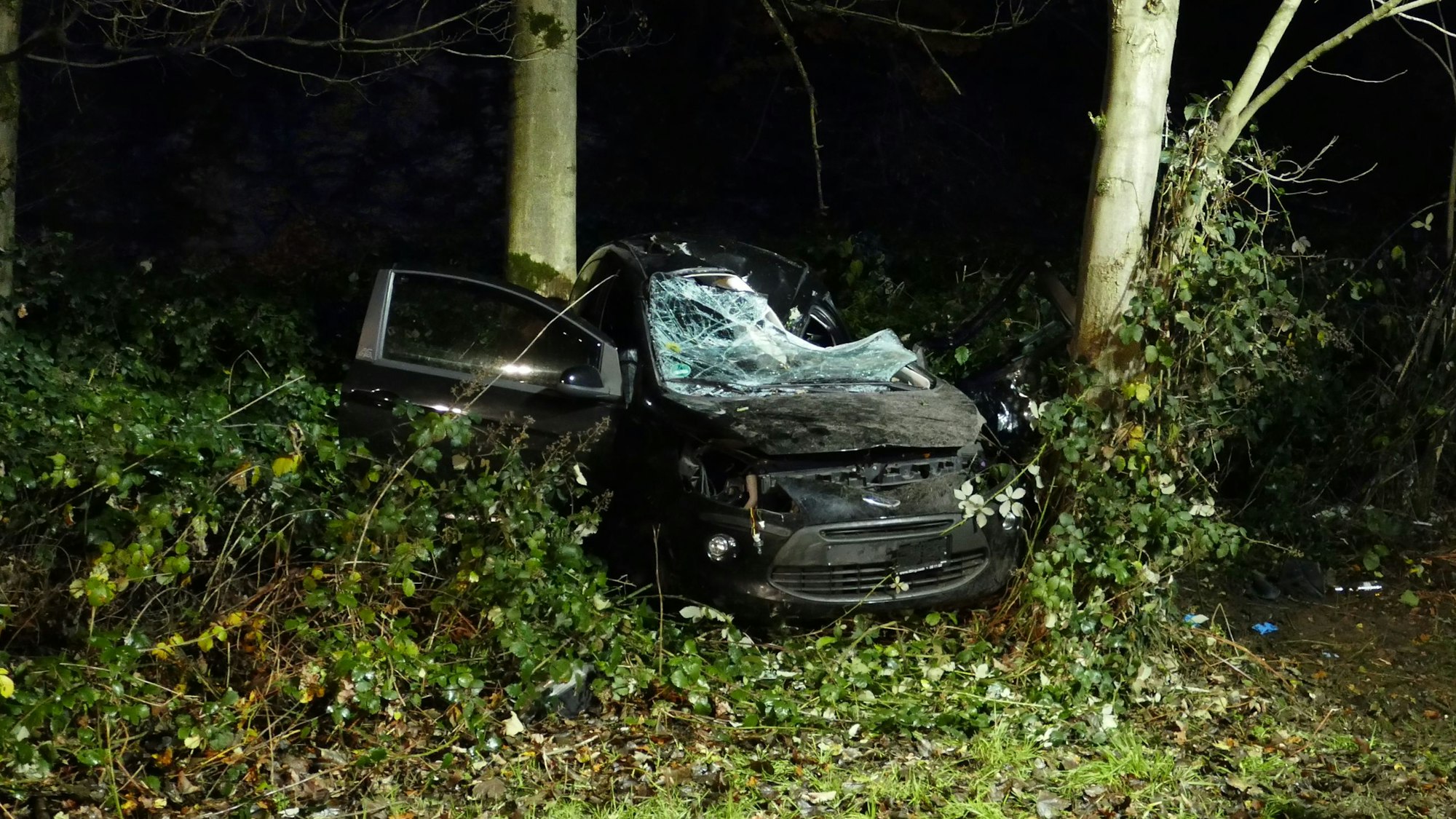 Zwischen Bäumen steht ein schwer beschädigtes schwarzes Auto, die Windschutzscheibe ist geborsten und von der Fahrerseite eingedrückt. Daneben beraten sich Feuerwehrleute.