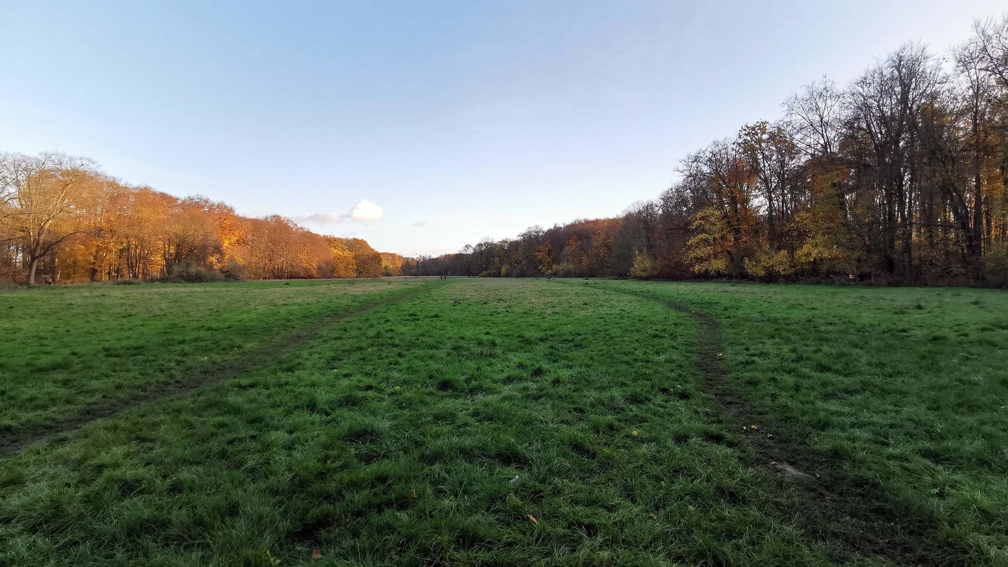 Die Gleueler Wiese im Äußeren Grüngürtel in Köln.
