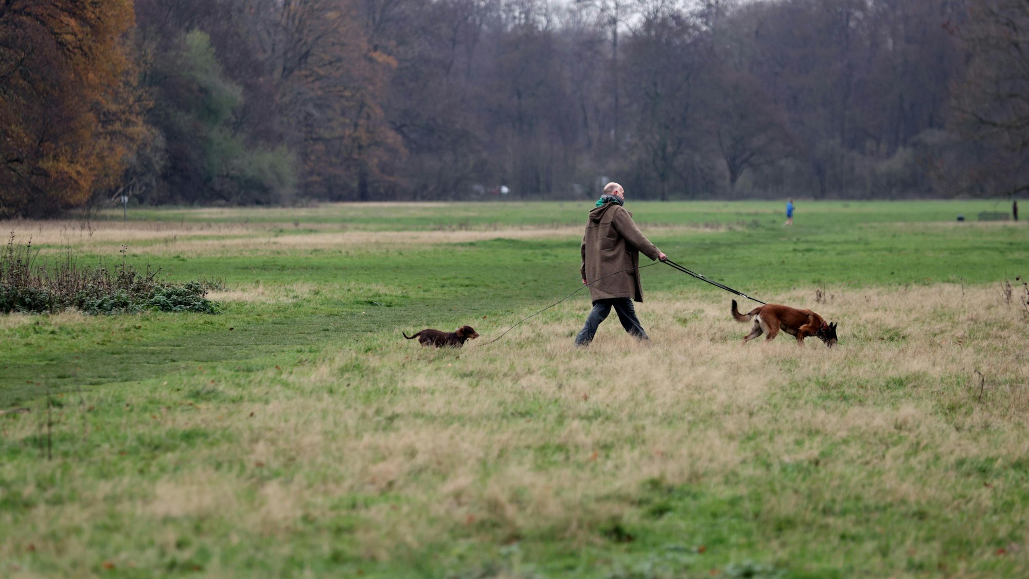 Auf der Gleueler Wiese werden auch weiter die Hunde spielen, eine Mehrheit für Fußballplätze gibt es nicht.