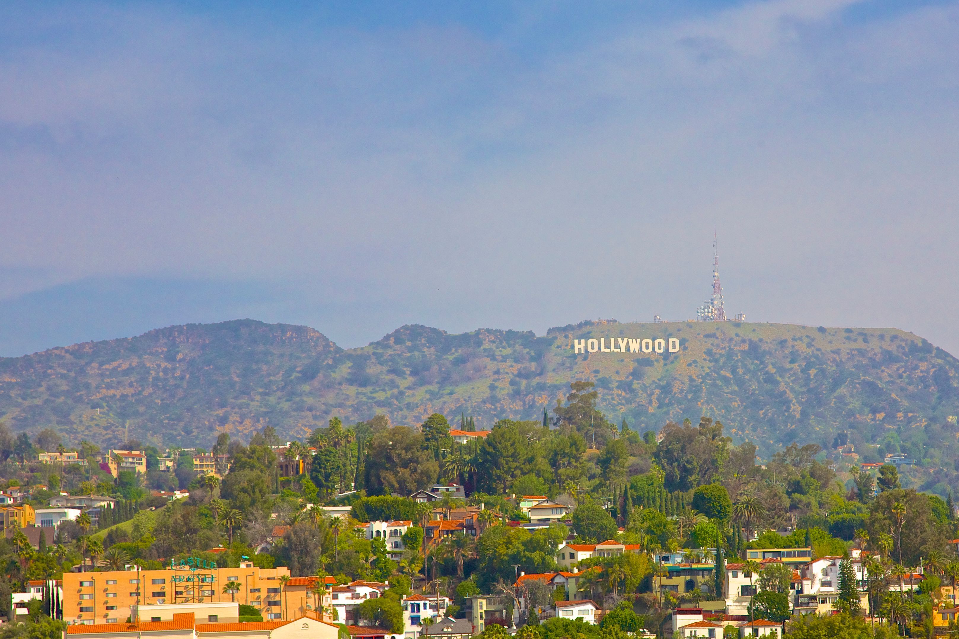 Panorama-Aufnahme von Los Angeles: Das Hollywood-Zeichen ist im Hintergrund zu sehen. Im Vordergrund sieht man zahlreiche Bäume und Häuser.