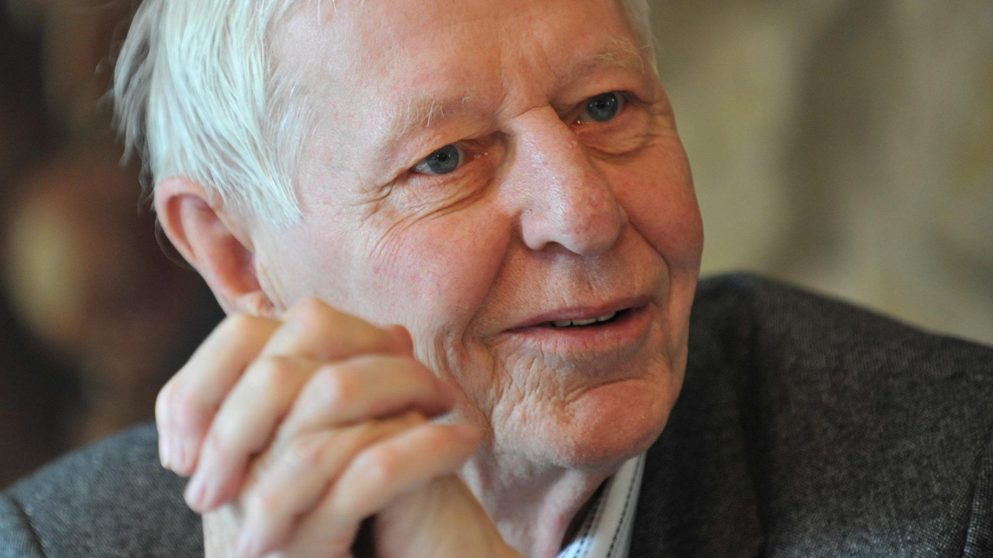 Hans Magnus Enzensberger starb am 24.11.2022 im Alter von 93 Jahren in München.