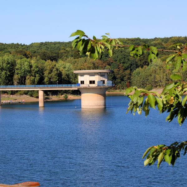 Ein Blick auf die Dhünntalsperre mit der Dhünn im Vordergrund und dem Wald im Hintergrund.