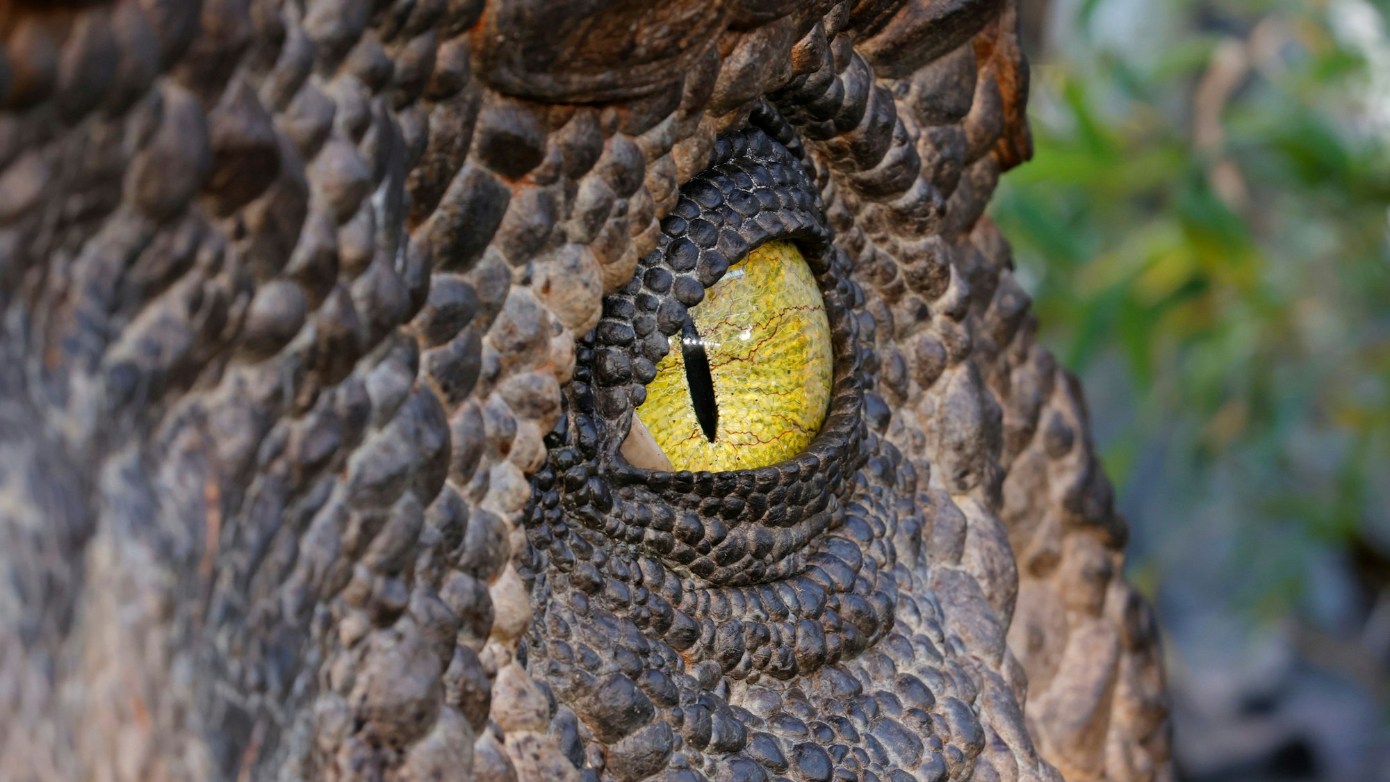 Nahaufnahme eines Dinosaurier-Auges. Drumherum sind die Schuppen des Reptils zu sehen.
