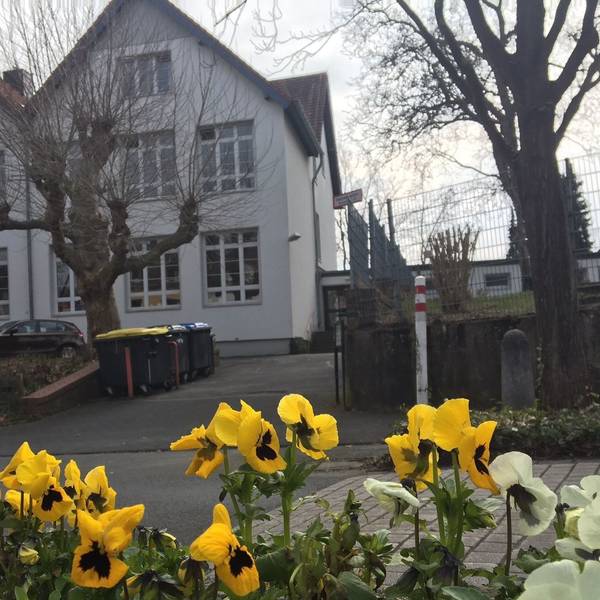 Die Außenfassade der Grundschule mit gelben Blumen im Vordergrund.